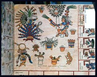 Aztekiska Codex Borbonicus, ”Tonalamatl”, detalj som föreställer gudinnan Mayahuel sittande på en agaveplanta